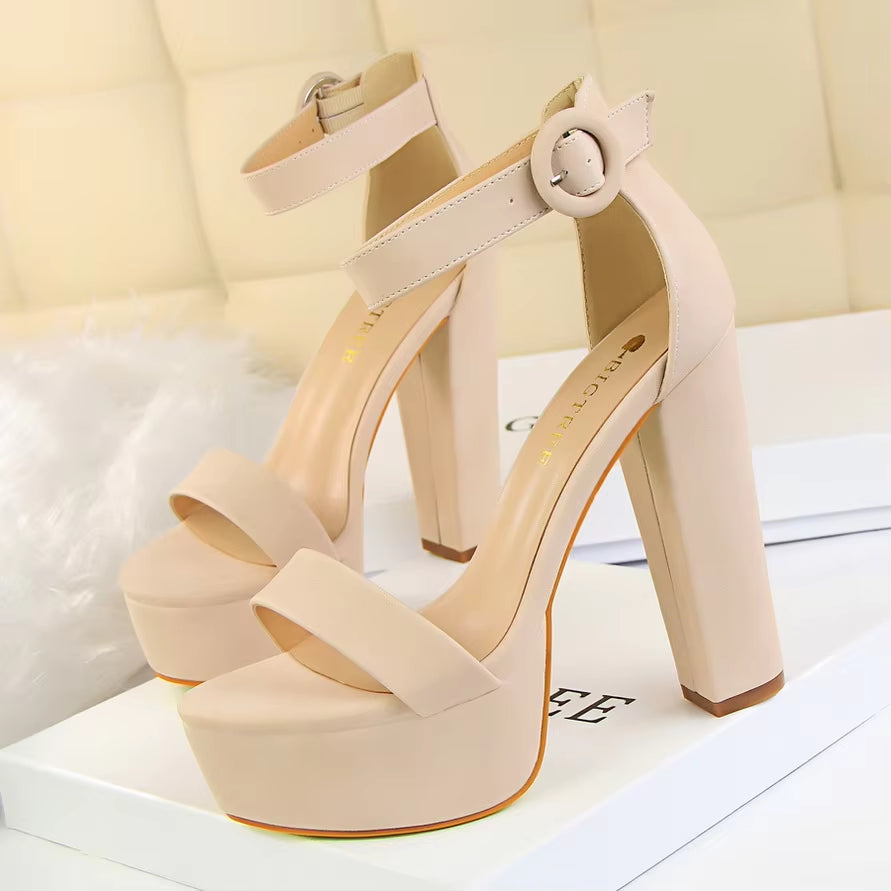 Shoes Women Pumps High Heels Shoes Women Heels Sexy Block Heels Fashion Women Sandals Platform Buckle New Ladies Shoes - Alrickas’ UNIQUE BOUTIQUE
