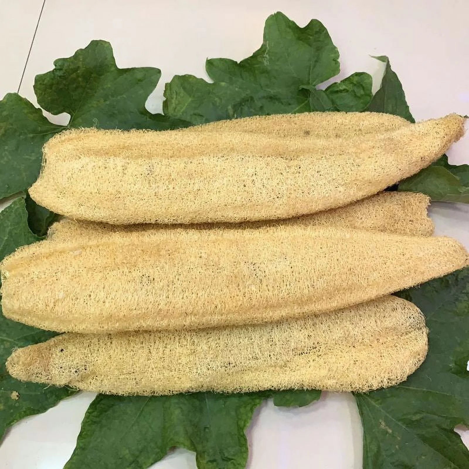 Revitalize Your Skin with Natural Whole Loofah Exfoliating Body Scrubber - Perfect for Men and Women! - Alrickas’ UNIQUE BOUTIQUE