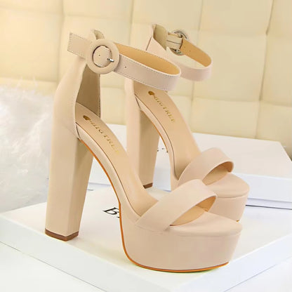 Shoes Women Pumps High Heels Shoes Women Heels Sexy Block Heels Fashion Women Sandals Platform Buckle New Ladies Shoes
