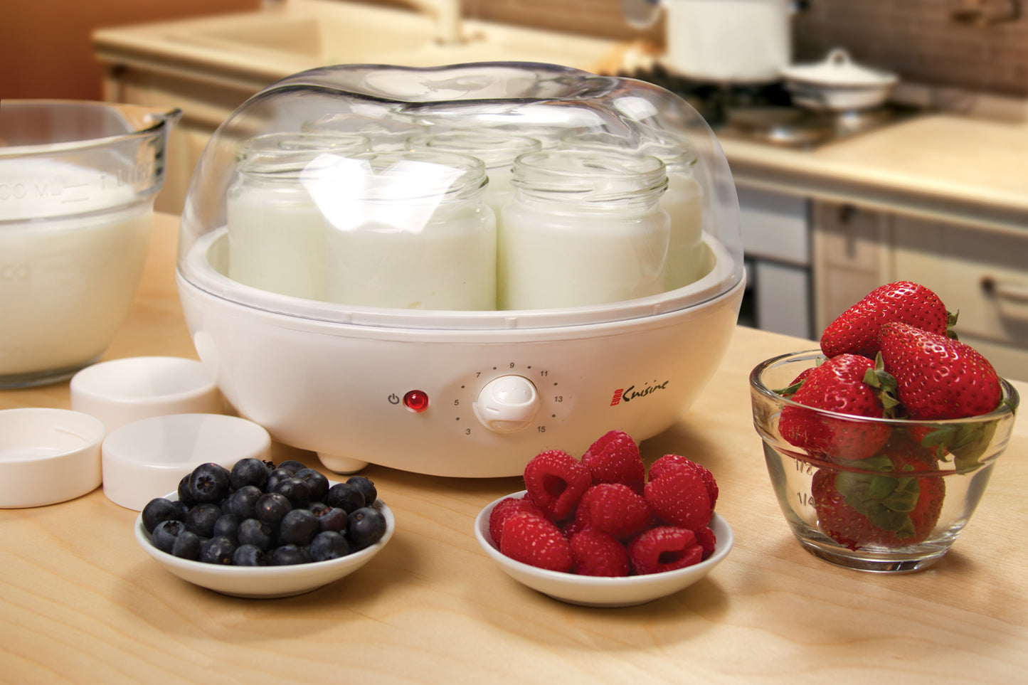 YM100 Automatic Yogurt Maker with Timer