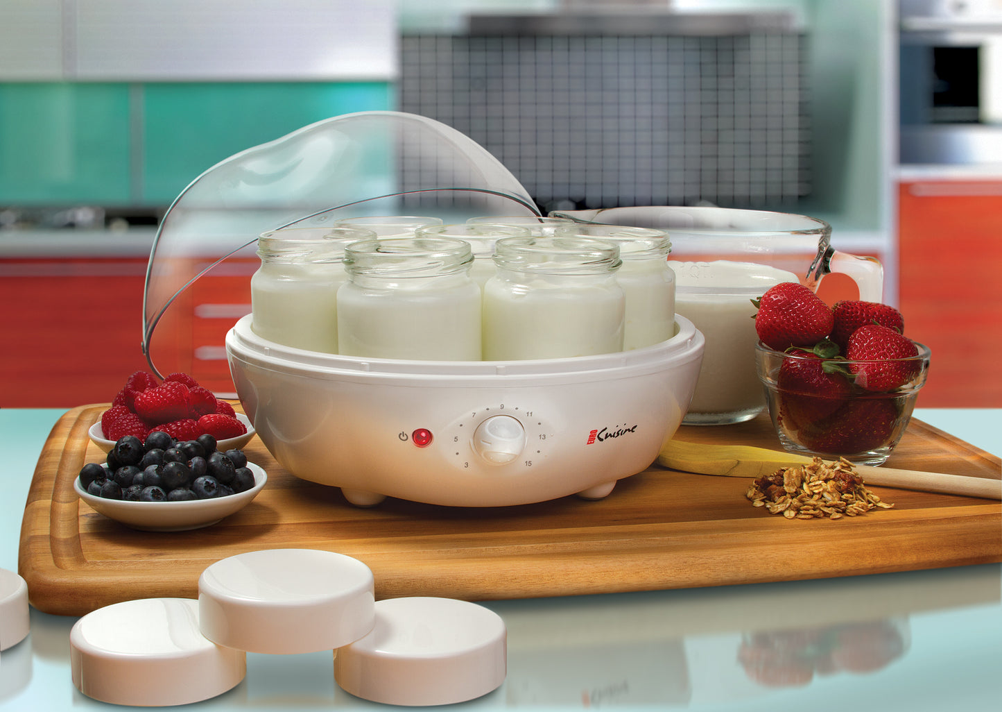 YM100 Automatic Yogurt Maker with Timer